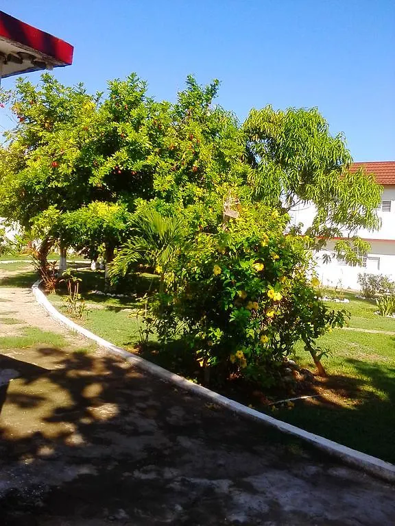 Executive Mammee Bay Hotel Ocho Rios