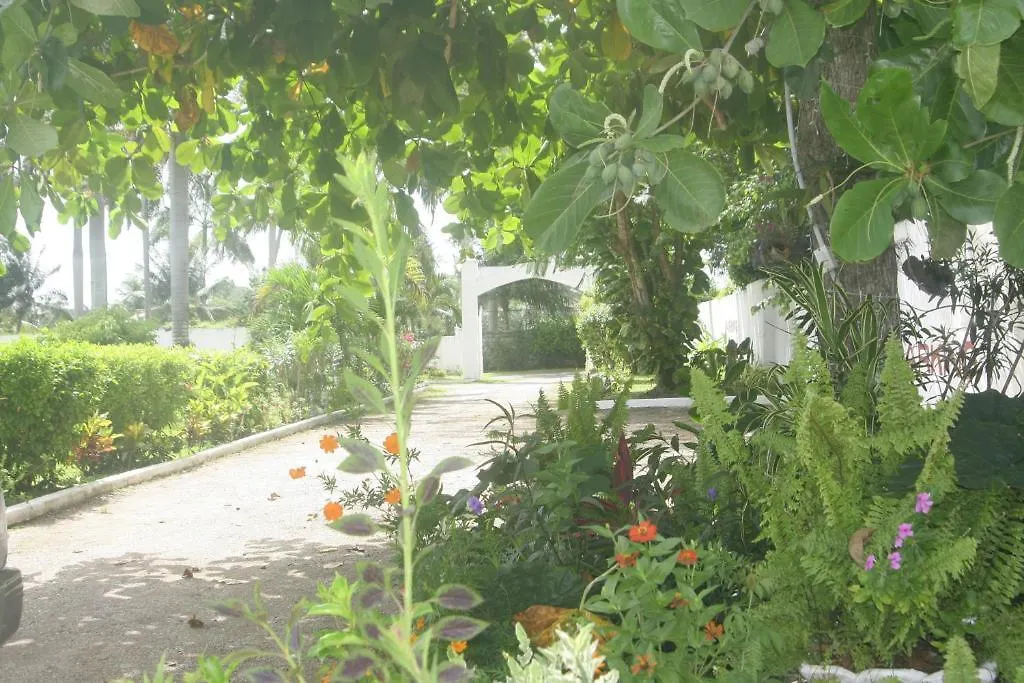 Executive Mammee Bay Hotel Ocho Rios Jamaica