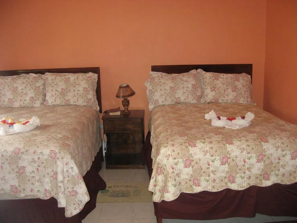 Executive Mammee Bay Hotel Ocho Rios
